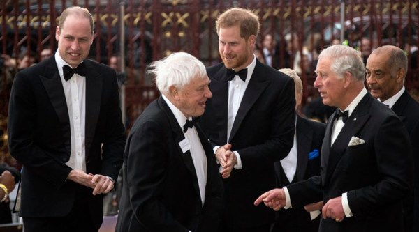 our planet netflix series