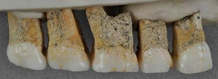 ancient human species, philippines, Homo luzonensis, luzon, homo sapiens, human evolution, philippines news, world news, Indian Express