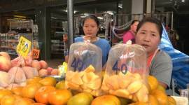 PLASTIC Plogga India news, Thailand plastic pollution, Plogga India