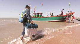 porbandar 759 Gujarat elections, Gujarat lok Sabha eletions, Porbandar elections, porabandar polls, Lok Sabha elections 2019, Decision 2019, election news