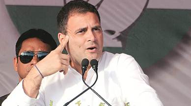 rahul gandhi citizenship, rahul gandhi, rahul gandhi british citizen, lok sabha elections, election news, supreme court