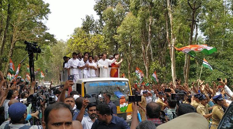 Lok Sabha elections 2019: Rahul Gandhi files nomination from Wayanad, holds road show