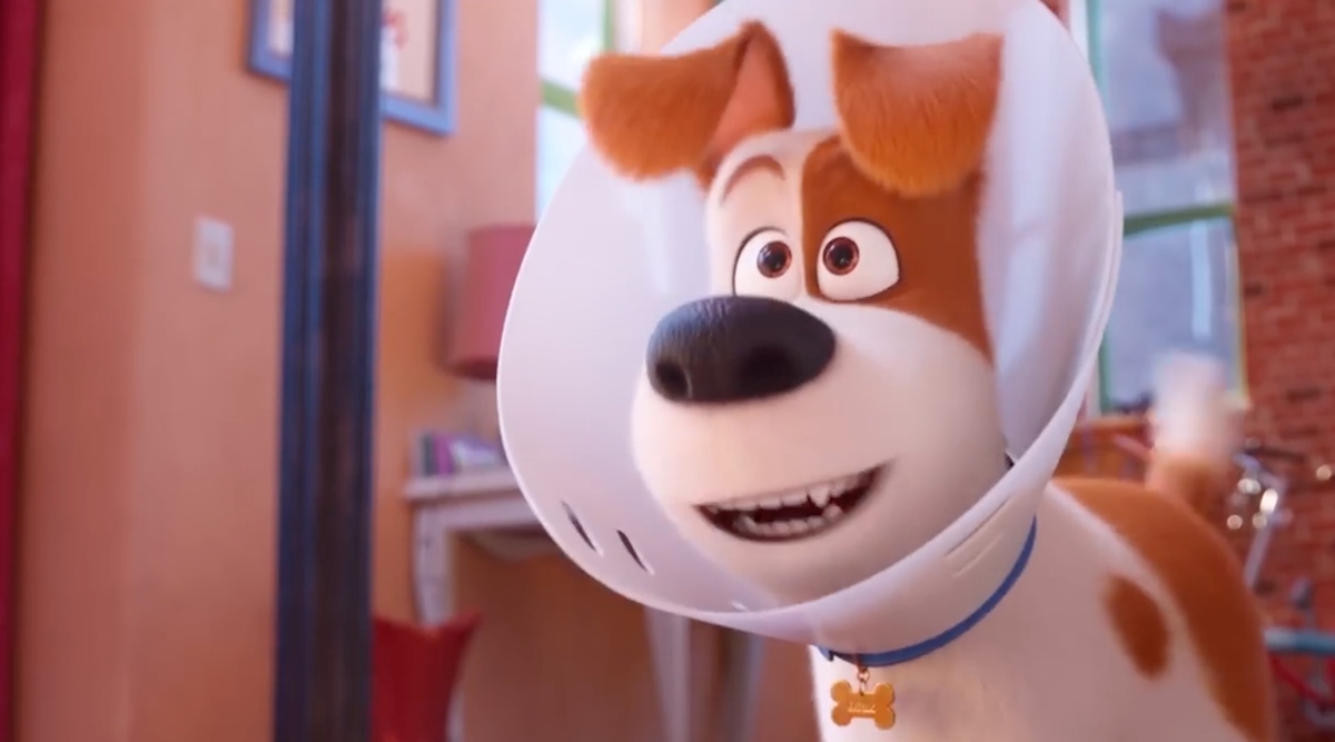 The secret life of pets 2 full movie 2025 download in tamil