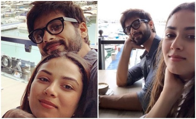 shahid Kapoor, Mira Rajput