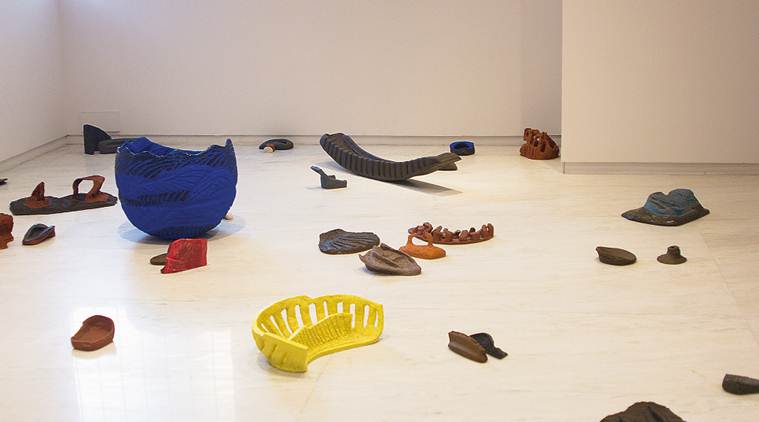 sheila makhijani, artist, installation, drawing, art and culture, indian express