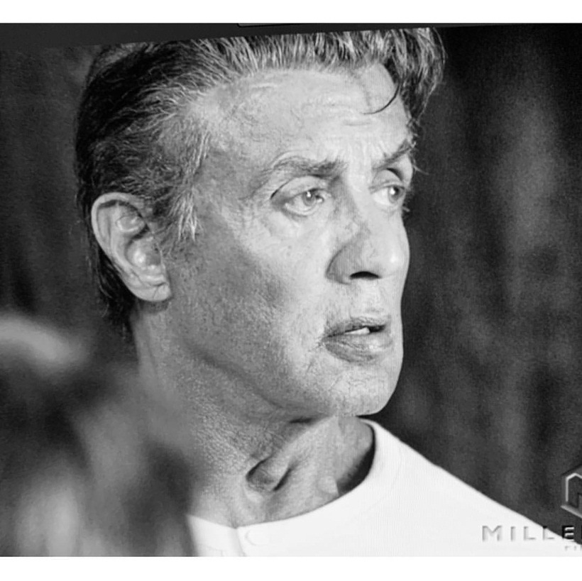 sylvester stallone photos