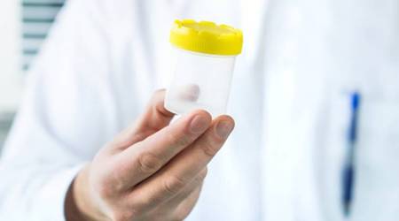 sperm donor, parenthood, baby