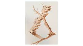 exhibition, bikaner house, delhi, exhibition in delhi, cartography of narratives, naser abdulah, canvas, art, art work, artists, indian express news