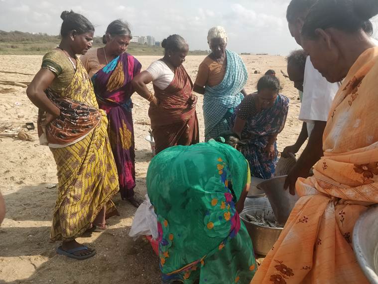 Lok Sabha elections, Tamil Nadu elections, Tamil Nadu fishermen, Chennai fishermen, Tamil Nadu politics, Coastal Regulation Zone, DMK, AIADMK, Congress, election news, elections 2019, elections 2019 news