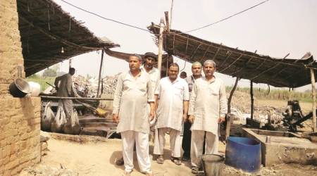 Bitter harvest: Ganna and Gai