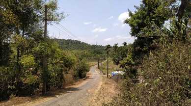 man-animal conflict, man-animal conflict Wayanad, Wayanad, Kerala