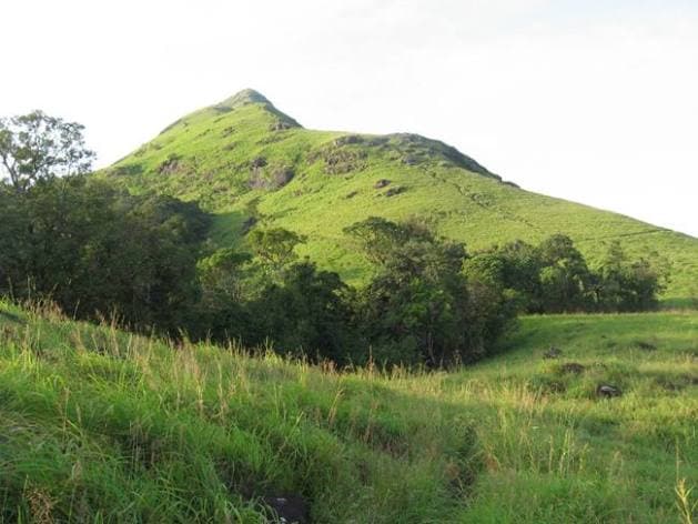 Wayanad district, places to visit in Wayanad district, Wayanad district touristy places, rahul gandhi Wayanad district, Wayanad district places to visit, where is Wayanad district, indian express, indian express news