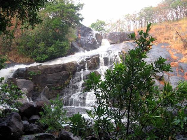 Wayanad district, places to visit in Wayanad district, Wayanad district touristy places, rahul gandhi Wayanad district, Wayanad district places to visit, where is Wayanad district, indian express, indian express news
