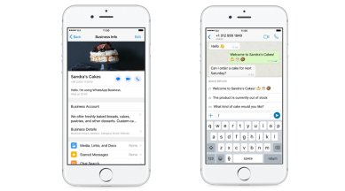 WhatsApp Business, WhatsApp, WhatsApp Business iOS, WhatsApp Business iOS download, WhatsApp Business Apple, WhatsApp Business iPhone
