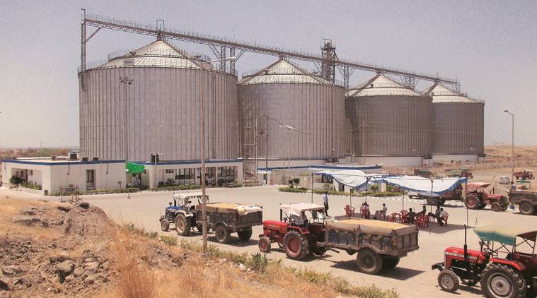 Bonus for wheat could become major election campaign issue in Madhya Pradesh