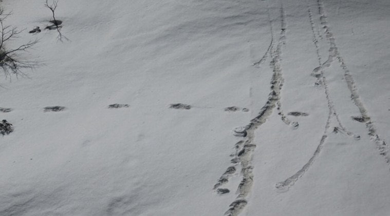Yeti footprints found by Indian Army in Nepal