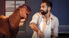 abhay deol in netflix show chopsticks