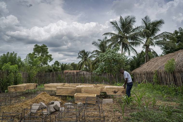 Millennials ‘make farming sexy’ in Africa, where tilling the soil once meant shame