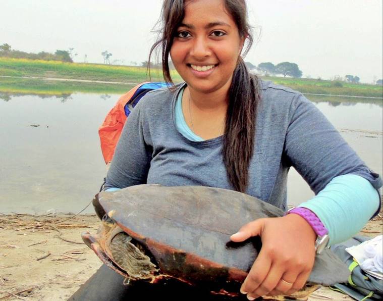 India Turtles, India Tortoise, Turtles in India, Indian Turtles, World turtle day, Freshwater Turtles and Tortoises of India, FTTI India, Indian Express