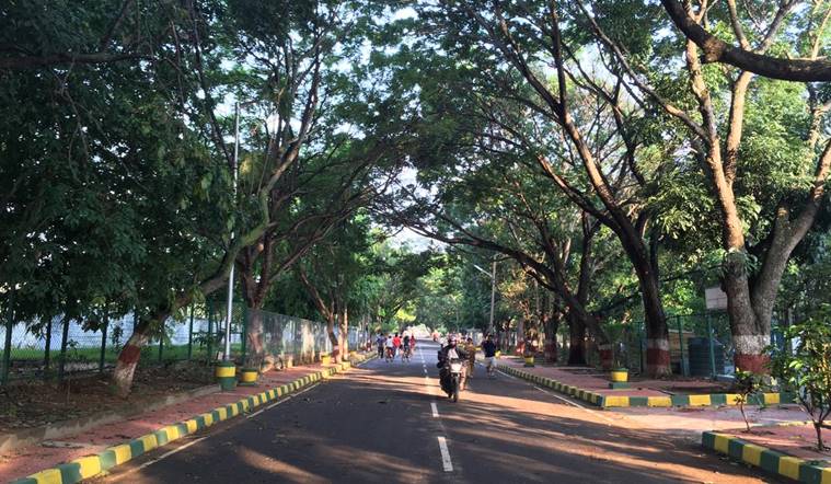 Bangalore-Live-city-park-trees-lung-space