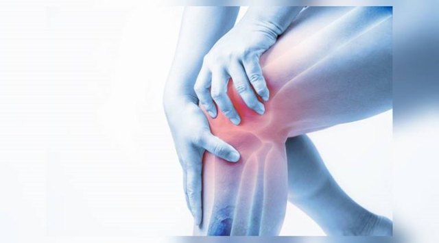 bone health, bones, cartilage, indian express, indian express news
