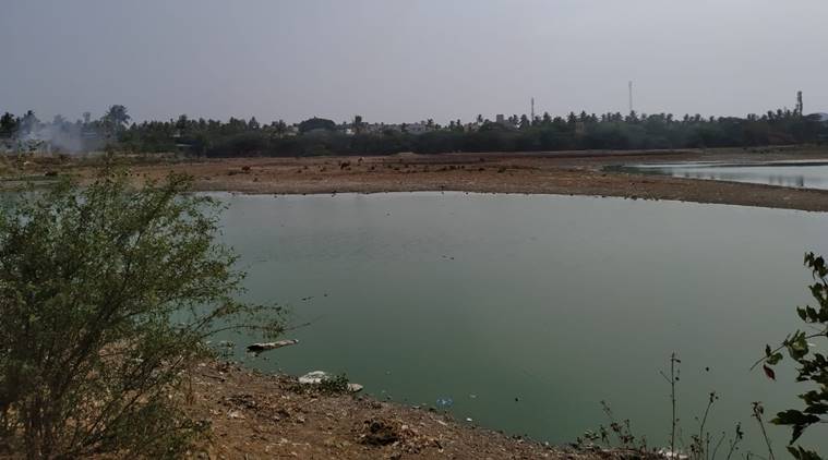 Chennai’s Chitlapakkam lake revival model holds key to fight water ...