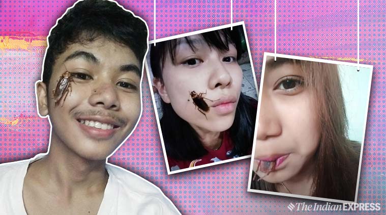 cockroach, cockroach challenge, cockroach facebook, cockroach facebook, cockroach trend, 