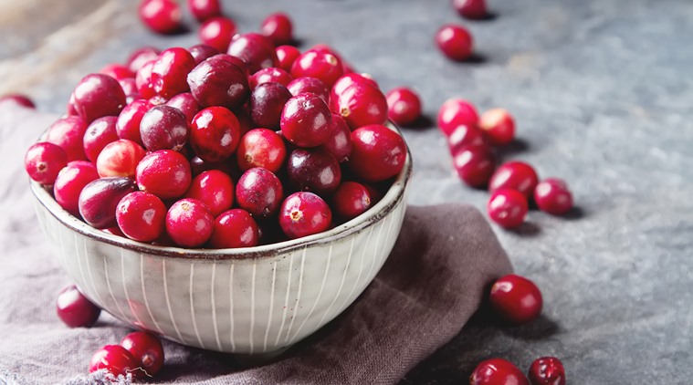 cranberry, superbug, antibiotics, indian express, indian express news