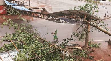 Cyclone Fani, Odisha storm, cyclone storm in Odisha, Odisha cyclone, cyclone in Odisha, cyclone fani in odisha, Odisha cyclone damage, damage in Odisha, crop damage in Odisha, Odisha cyclone affected area, cyclone fani aftermath, Odisha news, Indian Express