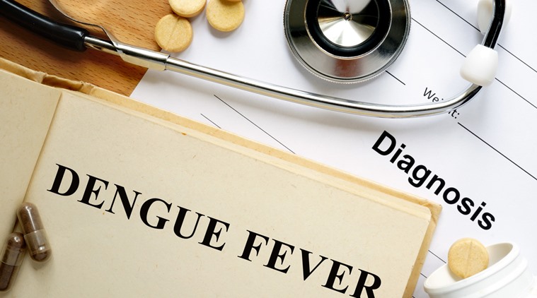 national dengue day, national dengue day 2019, dengue, dengue fever, indian express, indian express news