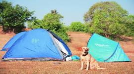 EYE Page 2_featured aravalli, Eye 2019, Nashik, Rajasthan, indianexpress