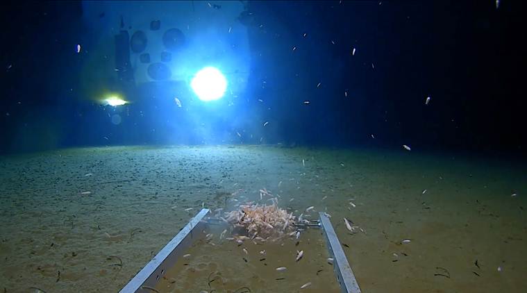 Explorer dives to deepest point in the ocean, stunned to find trash