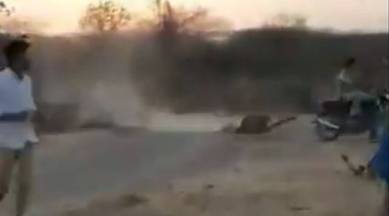 Video showing man dragging carcass behind his bike and followed by lion goes viral