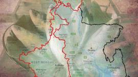 Hilsa, ilish, bengali, Bengalis and fish, Hilsa in Bengal, Hilsa in east bengal, Hilsa in West bengal, Fish in west bengal, Bengal news, India news, Indian Express