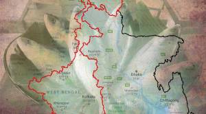 East or west, ilish is the best