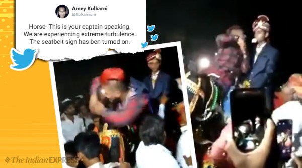 nagin dance on horse, groom friend nagin dance, nagin dance, drunk man nagin dance, viral video, funny wedding dance, bizarre dance wedding video, funny videos, indian express