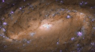 hubble telescope, nasa, european space agency, hubble telescope nasa, spiral galaxy, ngc 2903, spiral galaxy ngc 2903, hubble ngc 2903, hubble telescope spots spiral galaxy