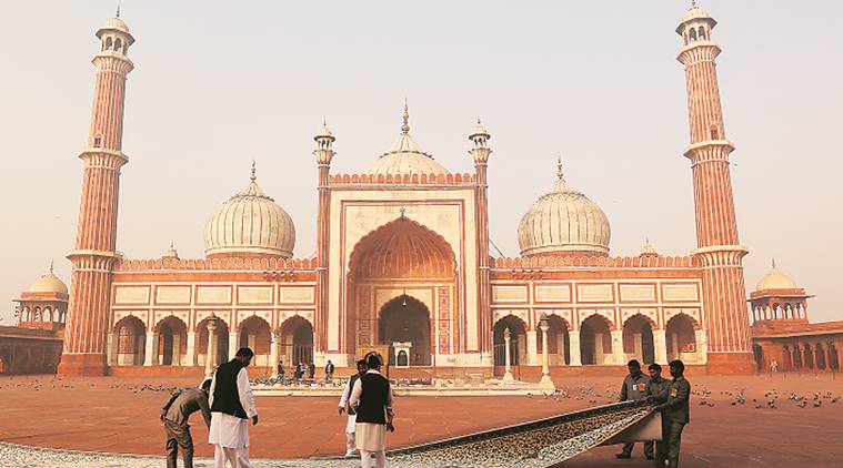 tiktok, tiktok ban, jama masjid, tiktok ban in jama masjid, announcement on tiktok ban, jama masjid shahi imam, tiktok videos, indian express