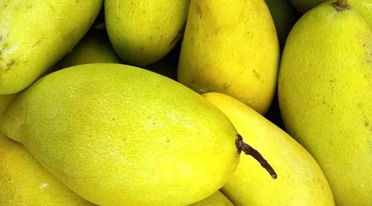 Can You Eat Mangoes When Pregnant A Doc Answers