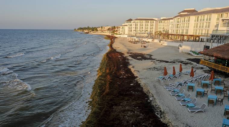 mexico, playa del carmen, gunmen attack, mexico bar, mexico attack, world news, indian express