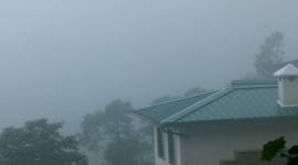 mountain rains, forest life, what it is to live in the mountains, hilly regions, rain in hills, hilly areas, raindrops, pakodas chai raining, mountains, misty views hills, liquid mush, canopy, monkeys in hills, indianexpress.com, indianexpressonline, indianexpress, eye2019, eyestories, roasted bhuttas, life in hills, hill life, steaming hot tea