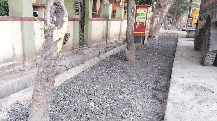 Mandatory area around trees: Residents allege contactors defying rules, BMC re-issues circular to all departments