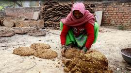 elections 2019, lok sabha elections, Haryana elections, Nuh, Mewat, lynchings, lynchings in India, women voters, women voters in 2019, India news, election news, Indian Express