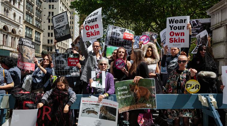 Proposed fur ban in New York pits animal welfare advocates against Black ministers