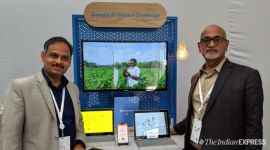 google ai impact challenge, google ai impact, artificial intelligence, ai, machine learning, Wadhwani AI, Wadhwani AI India, cotton pest infestation, cotton, pest infestation in cotton crops, india, Padmanabhan Anandann, Raghu Dharmaraju, Government of Maharashtra, Better Cotton Initiative