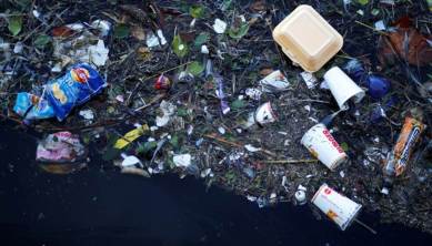 plastic ban, waste import, indonesia news, malaysia, the phillippines, vietnam, thailand, united states, canada, world news, indian express