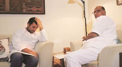 ‘Reports of Congress-NCP merger baseless’: NCP