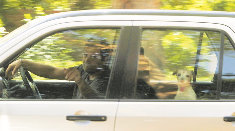 rahul gandhi, rahul gandhi resigns, rahul gandhi congress president, rahul gandhi resigns as congress president, congress, priyanka gandhi vadra, priyanka gandhi, congress lok sabha elections