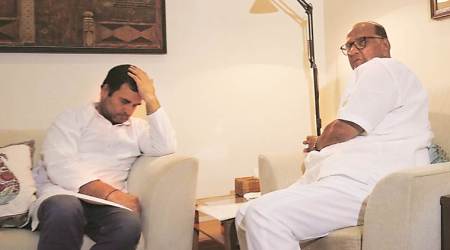 ‘Reports of Congress-NCP merger baseless’: NCP