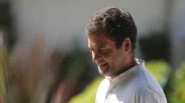 In their own ivory towers